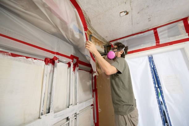 Professional Mold Inspection, Removal & Remediation in Morrison, IL